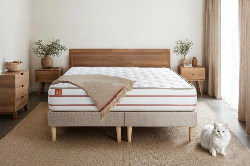 Ensemble Matelas Sommier 160x200 cm - 2 Sommiers Beige - Le Doux